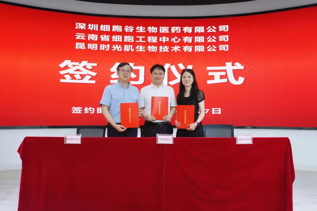 深圳凯发K8生物医药有限公司、云南省细胞工程中心有限公司及昆明时光肌生物技术有限公司达成战略合作