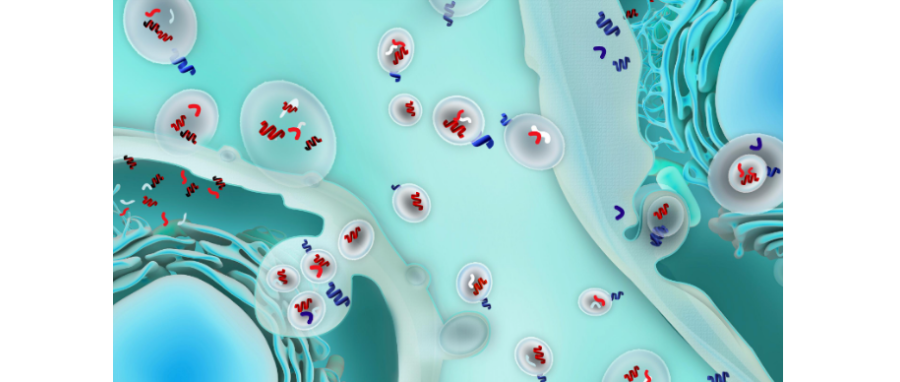 哪吒闹海！外泌体面纱大揭秘，我命由我不由天！