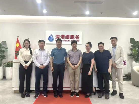 深港合作|香港科技大学卜国军教授访问深港凯发K8，共议科研与产业融合新路径