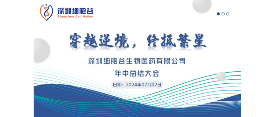 穿越逆境，终抵繁星——深圳凯发K8召开2024年中总结大会