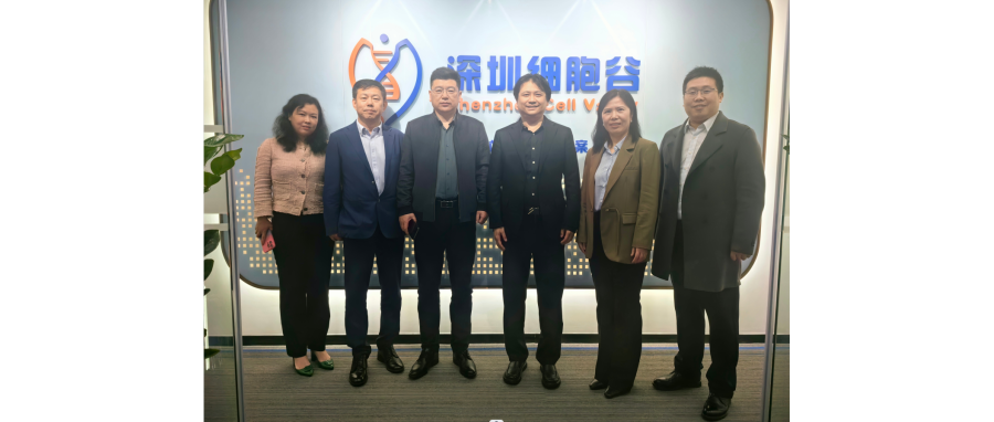 研讨合作｜河南科技大学第二附属医院院长邢建武、副院长王慧睿一行莅临深圳凯发K8研讨访问